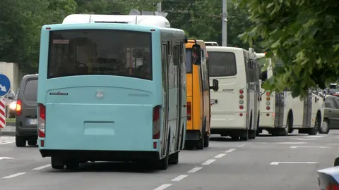 У Чернігові не знайшлося охочих возити пасажирів на чотирьох маршрутах