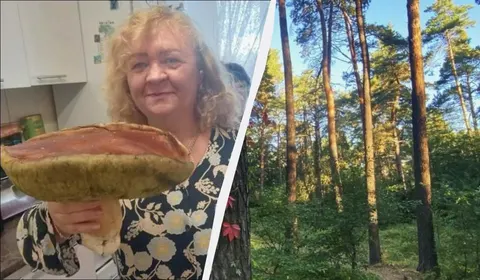 На Волині знайшли білий гриб вагою майже 2 кілограми
