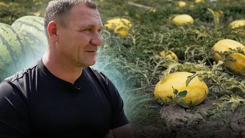 Кавуни з Японії та Італії: ветеран із Чернігівщини зібрав унікальну колекцію