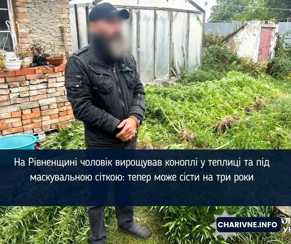 На Рівненщині чоловік вирощував коноплі в теплиці під маскувальною сіткою