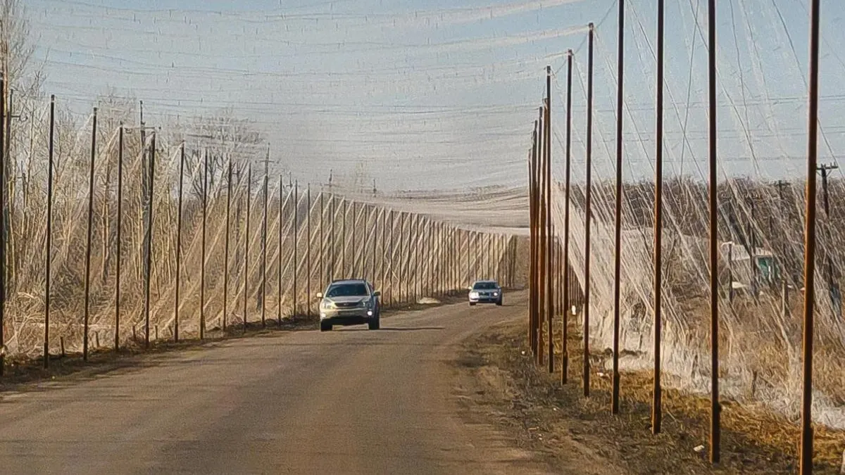 У Запоріжжі обвалилися антидронові сітки на «Пісках» — ОВА вимагає негайного ремонту