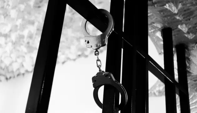 У Гаазі ультраправа демонстрація обернулася сутичками: понад 20 затриманих