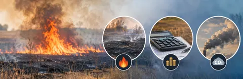 Пожежі на Миколаївщині завдали довкіллю понад 814 мільйонів збитків