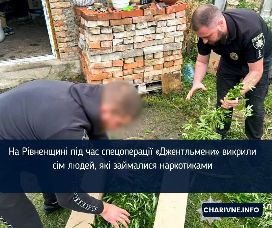 На Рівненщині викрили сімох наркоділків: вилучено 20 кг канабісу та 83 кущі конопель