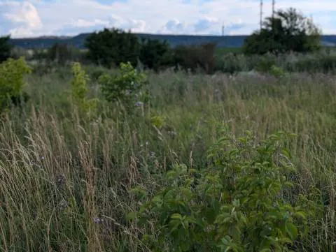 На Львівщині 425 заповідних об'єктів: що хочуть взяти під охорону цьогоріч