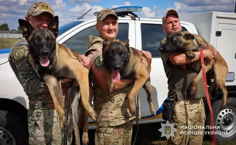 На Сумщині чотири цуценята-вівчарки готуються до поліцейської служби