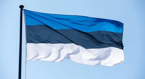 Естонія: удари України дістали до російського газу за 3 тисячі кілометрів