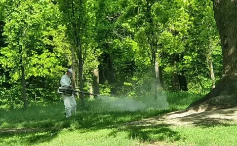 У парках Чернівців обробляють від кліщів: гуляти там поки не варто