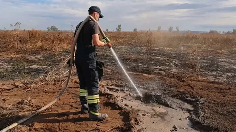 Під Ніжином майже два тижні гасили торф: полум'я охопило 55 гектарів