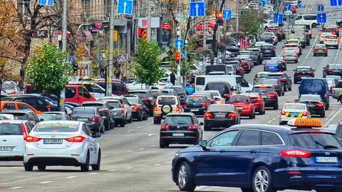 Купівля авто, обмін посвідчення, призначення користувача: що можна зробити онлайн у сервісних центра
