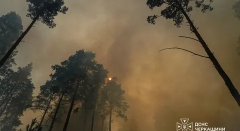 На Черкащині п'яту добу гасять масштабну лісову пожежу