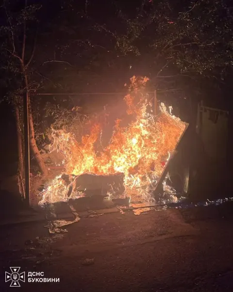 На Буковині за добу сталося кілька пожеж та займань сміття