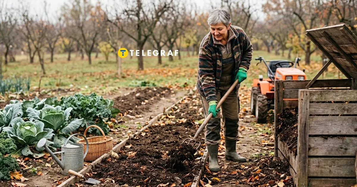 Осіннє удобрення ґрунту: чим засипати землю до перших морозів