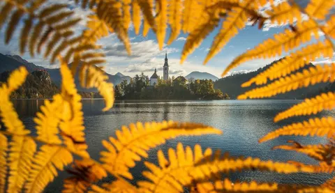 Де в Європі осінь триває найдовше: 10 місць для золотих краєвидів