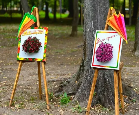 У Чернівцях облаштували яскраві фотозони для осінніх світлин