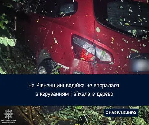 На трасі Київ — Чоп під Рівним Nissan злетів у кювет і врізався в дерево