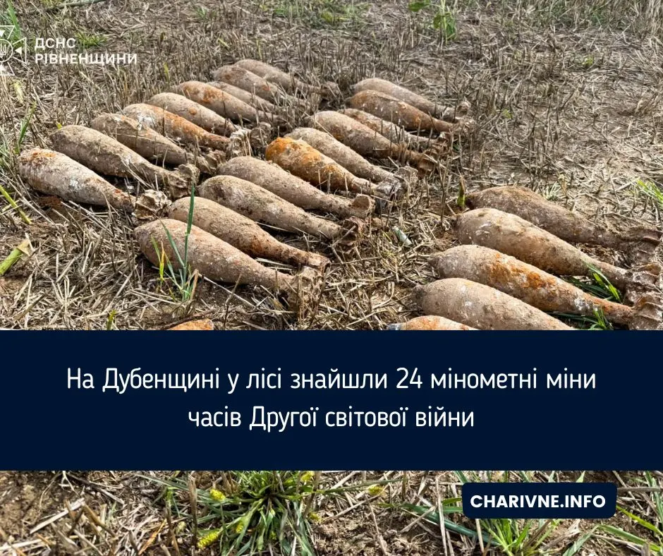 На Дубенщині в лісі виявили 24 мінометні міни часів Другої світової