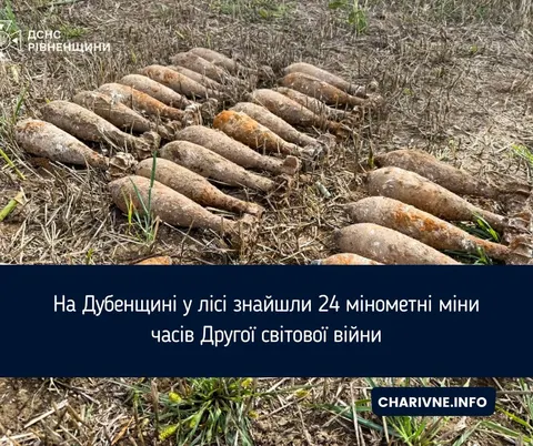На Дубенщині в лісі виявили 24 мінометні міни часів Другої світової