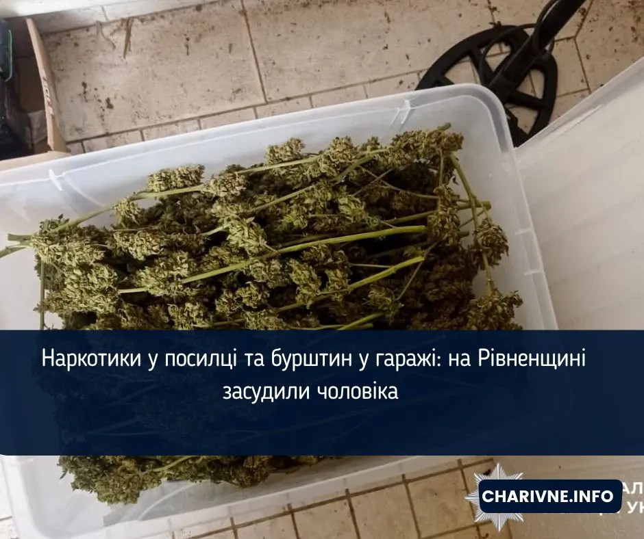 Амфетамін у посилці, бурштин у гаражі: на Рівненщині чоловік отримав 9 років