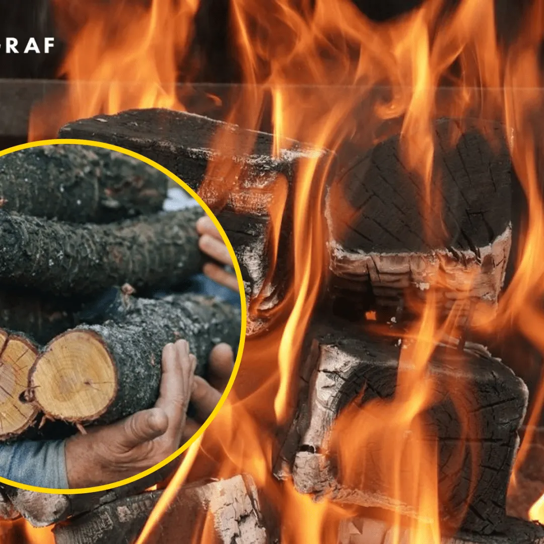 Граб, дуб чи акація: які дрова гріють найдовше
