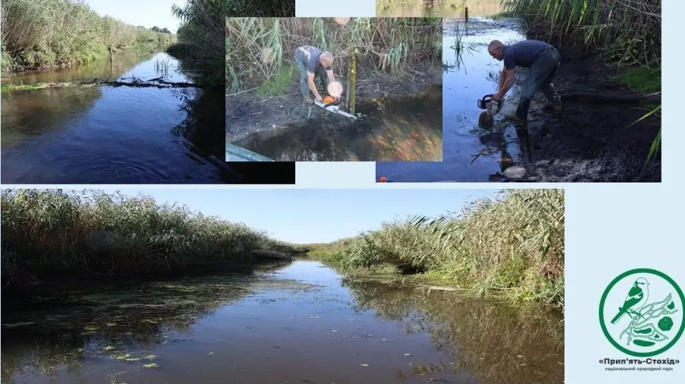 На Волині Прип'ять чистить від бурелому: вода впала — небезпека випливла