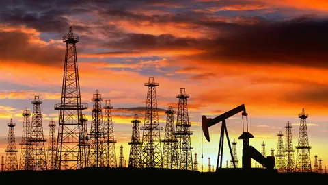 Дешевої нафти більше не буде: Європа звикає до нових цін