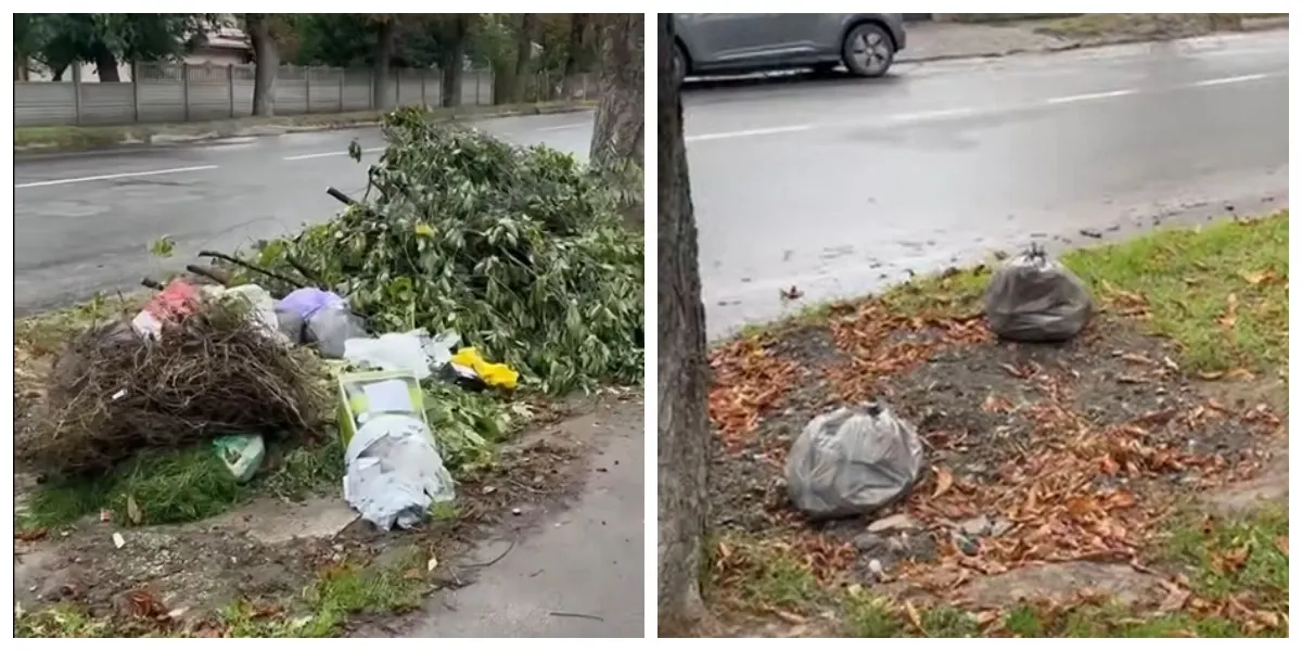 У Луцьку на вулиці Потебні виявили чотири стихійні сміттєзвалища