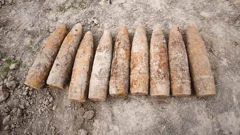 На Львівщині під час земляних робіт виявили дев'ять боєприпасів часів Другої світової війни