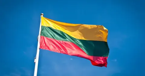 У Литві підстанцію біля Калінінграда захистять від дронів бетонними саркофагами