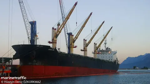 Турецька компанія судиться з Україною в МКС через загибель моряка на судні в Новоросійську