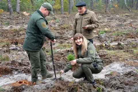 47 тисяч гектарів, зубри й «періоди тиші»: чим живуть ліси Вінниччини