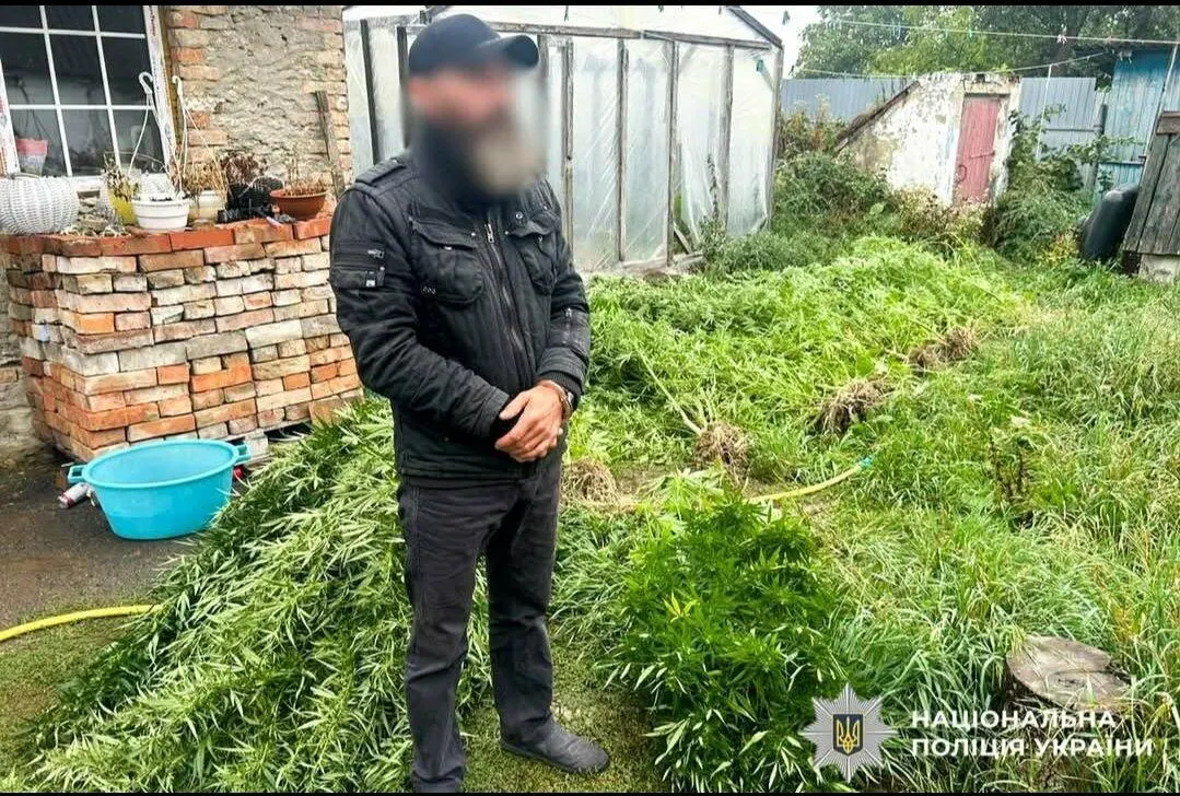 На Здолбунівщині в чоловіка знайшли теплицю з коноплями та кілограм канабісу