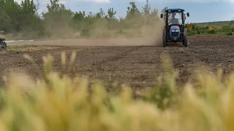 Спека на Дніпропетровщині: ґрунтова засуха вдарила по озимині