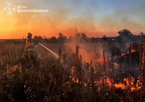 Пожежі в порту Миколаєва: довкіллю завдано збитків на 8,5 млн гривень