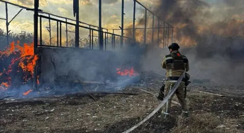 Росіяни вдарили з РСЗВ по агрофірмі на Чернігівщині: поранена худоба, знищена те