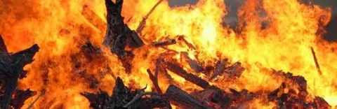 Миколаївщина за добу: 12 пожеж і понад гектар вигорілої землі