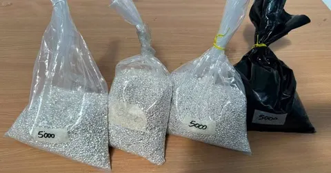 На Закарпатті у водія автобуса з Італії знайшли понад 20 кг срібла